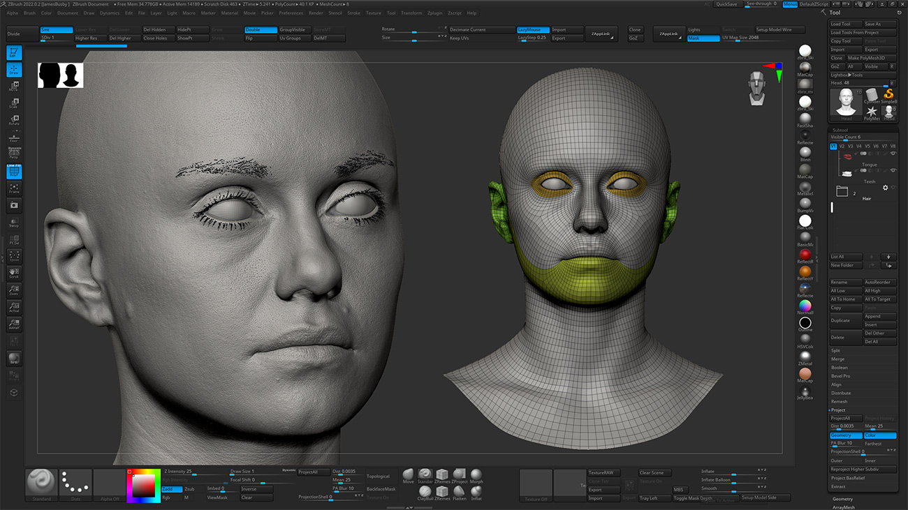 Download Zbrush head sculpt